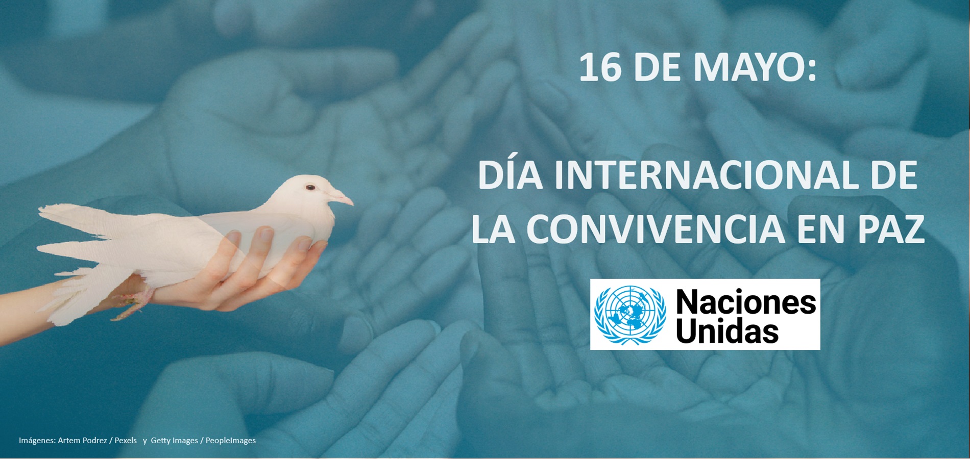 Imagen de DÍA INTERNACIONAL DE LA CONVIVENCIA EN PAZ