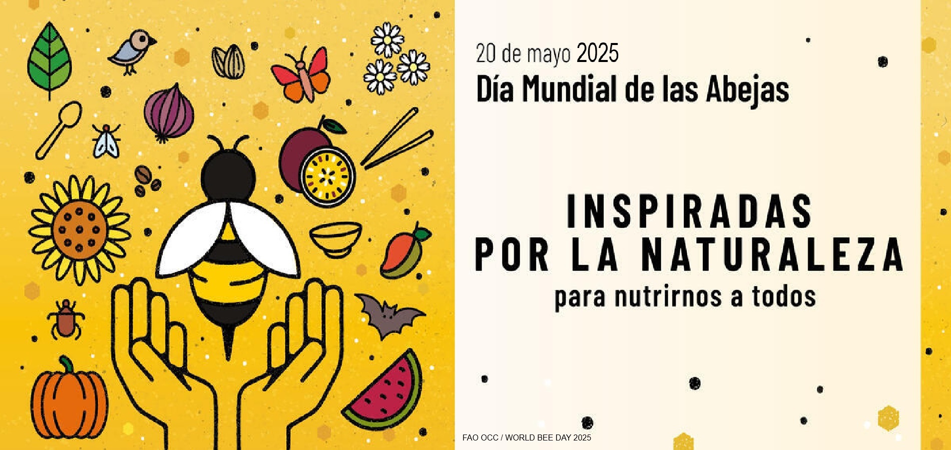 Imagen de DÍA MUNDIAL DE LAS ABEJAS