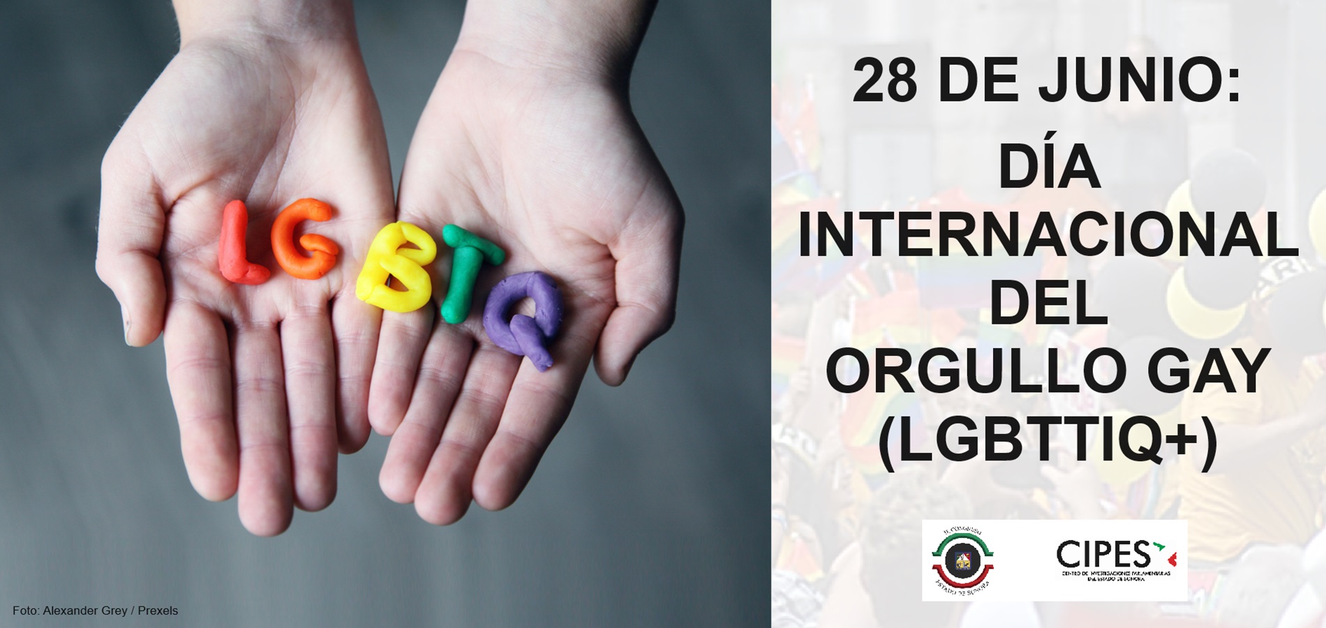 Imagen de DÍA INTERNACIONAL DEL ORGULLO GAY (LGBTTIQ+)