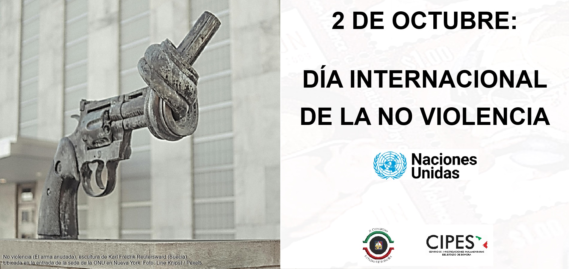 Imagen de DÍA INTERNACIONAL DE LA NO VIOLENCIA